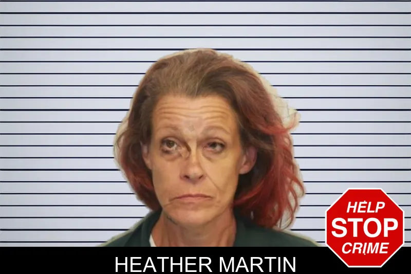 Heather Martin mugshot – Chatham County , Georgia Heather Martin mugshot