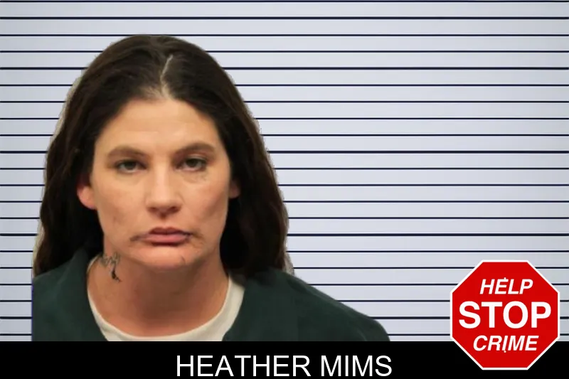 Heather Mims mugshot