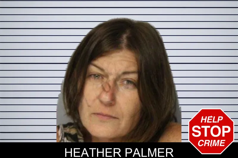Heather Palmer mugshot – Hall County , Georgia Heather Palmer mugshot