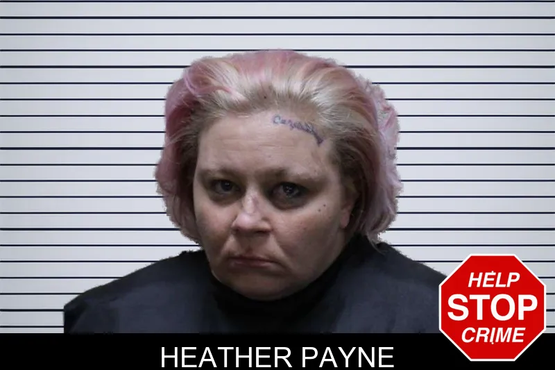 Heather Payne mugshot – Haralson County , Georgia Heather Payne mugshot