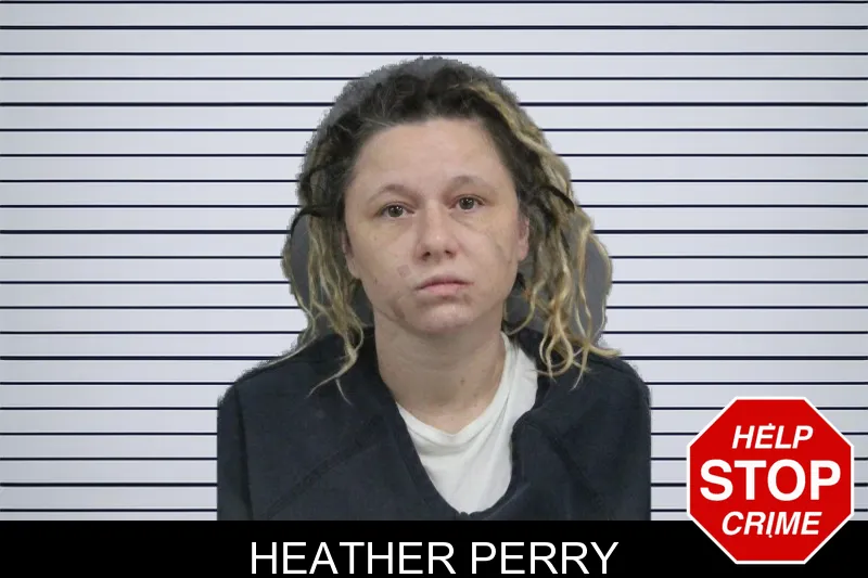Heather Perry mugshot