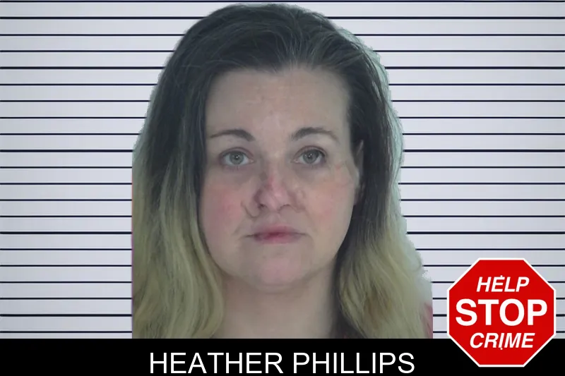 Heather Phillips mugshot – Fayette County , Georgia Heather Phillips mugshot