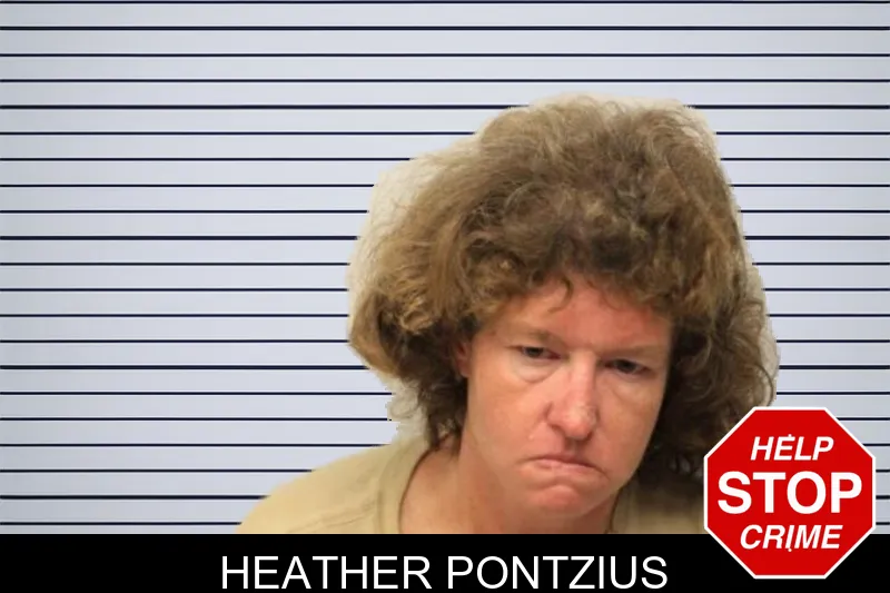 Heather Pontzius mugshot – Chatham County , Georgia Heather Pontzius mugshot