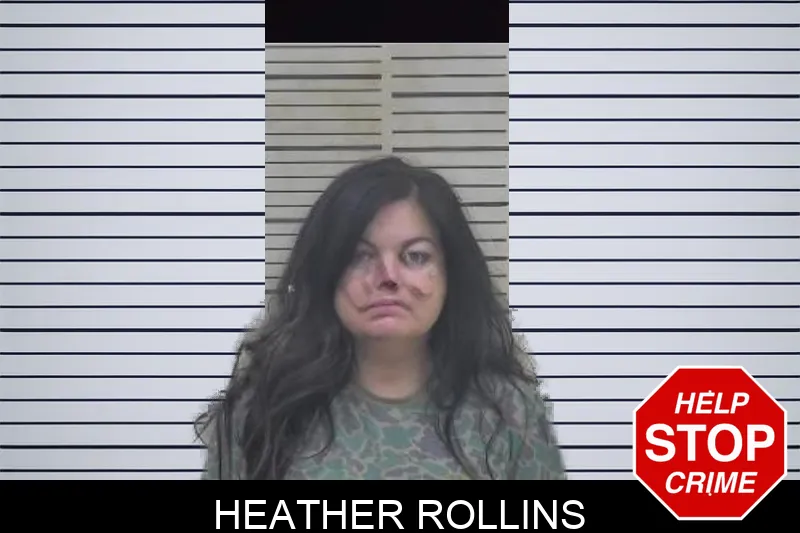 Heather Rollins mugshot