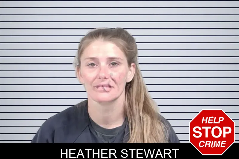 Heather Stewart mugshot – Lowndes County , Georgia Heather Stewart mugshot