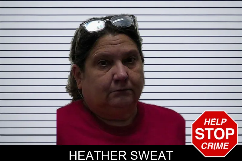 Heather Sweat mugshot – Pierce County , Georgia Heather Sweat mugshot