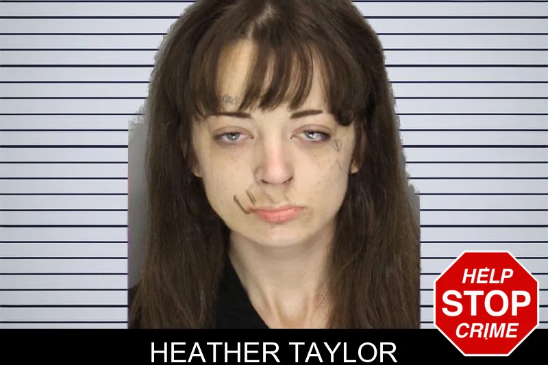 Heather Taylor mugshot – Cobb County , Georgia Heather Taylor mugshot