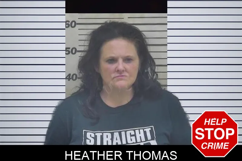 Heather Thomas mugshot – Coffee County , Georgia Heather Thomas mugshot
