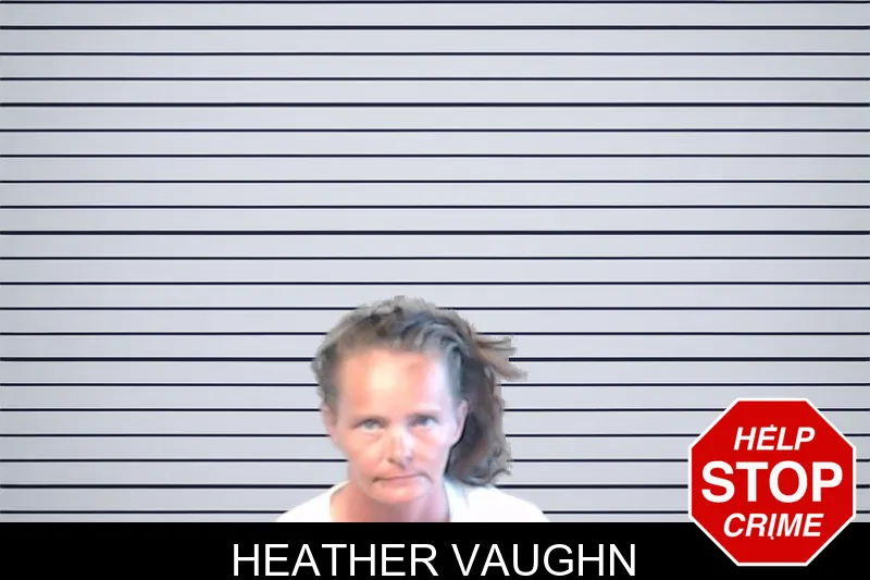 Heather Vaughn mugshot – DeKalb County , Georgia Heather Vaughn mugshot