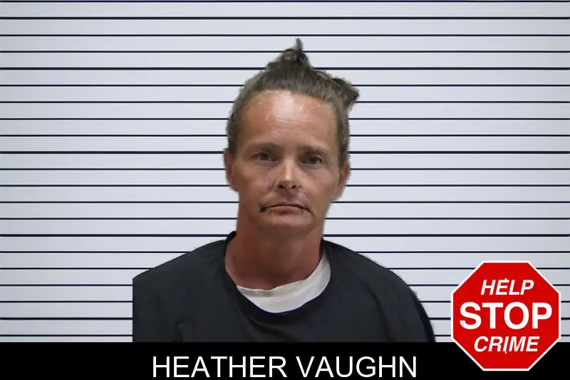Heather Vaughn mugshot – Madison County , Georgia Heather Vaughn mugshot