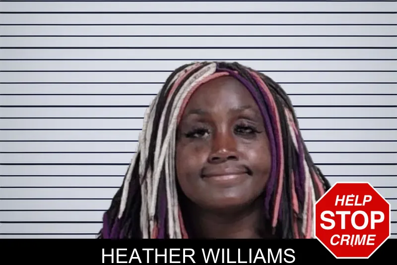 Heather Williams mugshot