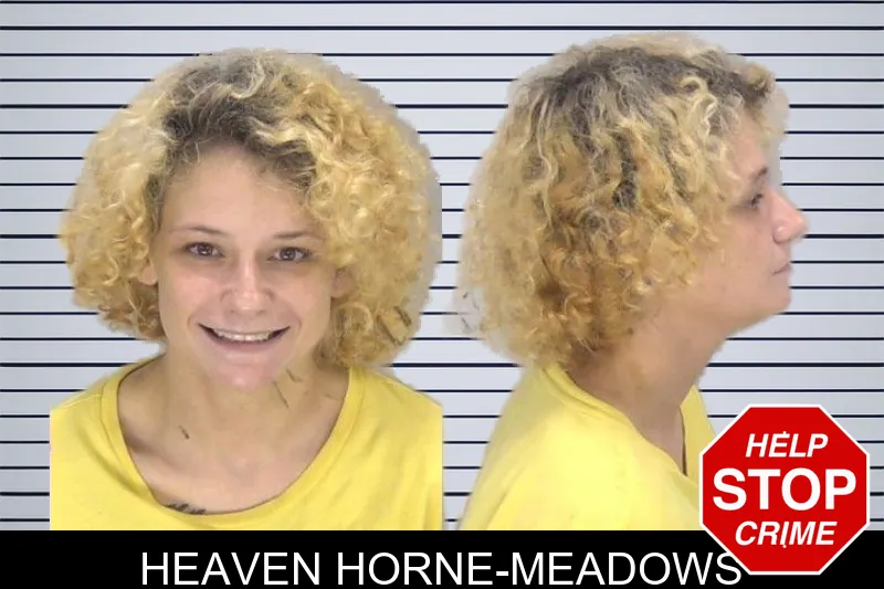 Heaven Horne-Meadows mugshot – Richmond County , Georgia Heaven Horne-Meadows mugshot