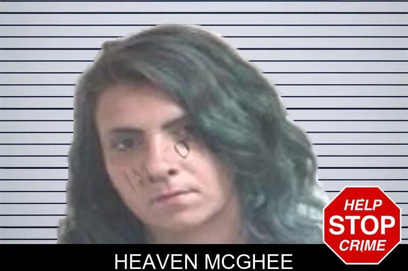Heaven McGhee mugshot – Henry County , Georgia Heaven McGhee mugshot