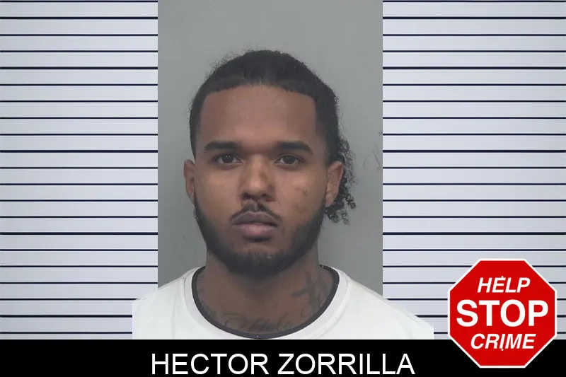 Hector Zorrilla mugshot – Gwinnett County , Georgia Hector Zorrilla mugshot