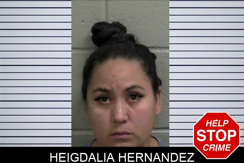 Heigdalia Hernandez mugshot – Wayne County , Georgia Heigdalia Hernandez mugshot