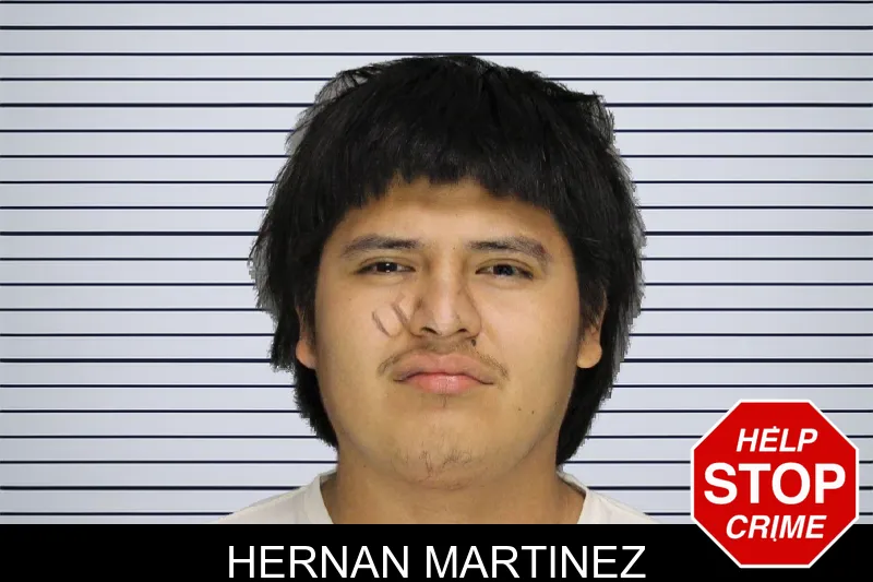 Hernan Martinez mugshot