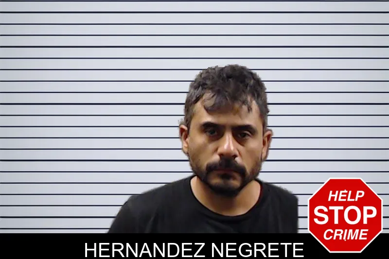 Hernandez Negrete mugshot