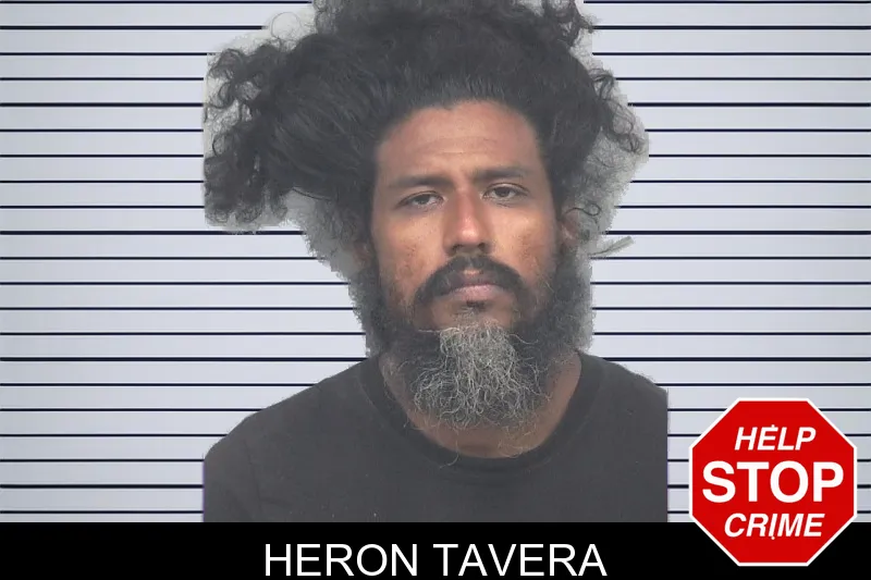 Heron Tavera mugshot