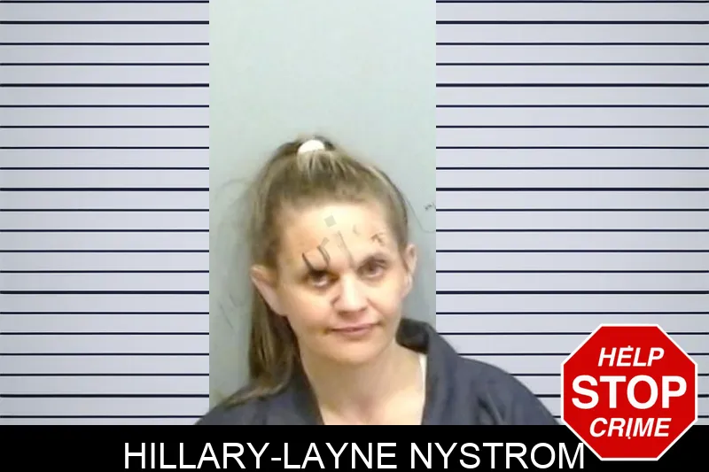 Hillary-Layne Nystrom mugshot – Fulton County , Georgia Hillary-Layne Nystrom mugshot