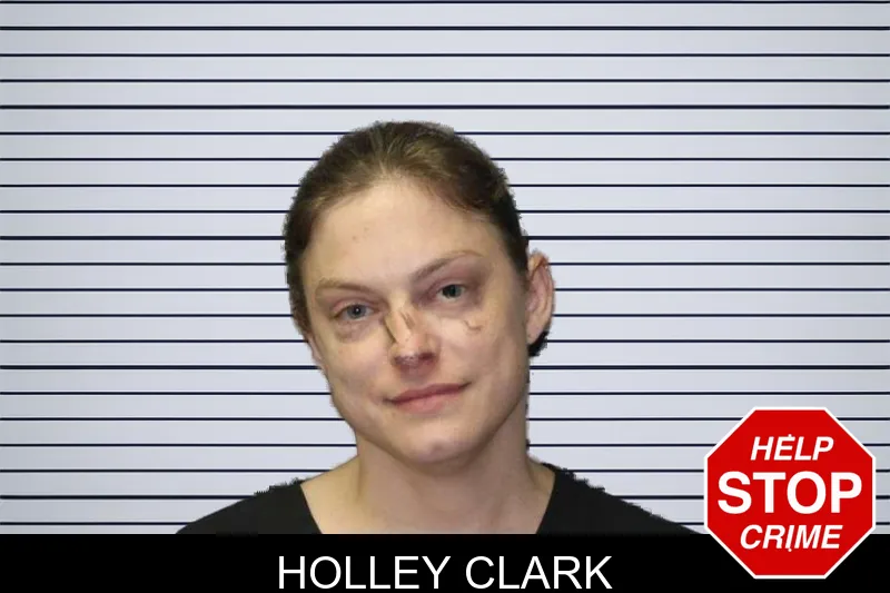 Holley Clark mugshot – Thomas County , Georgia Holley Clark mugshot