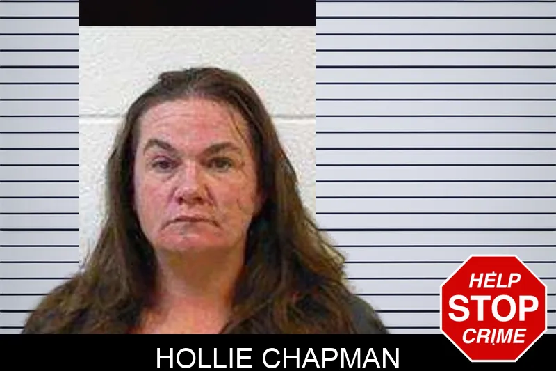 Hollie Chapman mugshot
