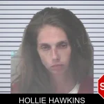 Hollie Hawkins mugshot – Newton County , Georgia Hollie Hawkins mugshot