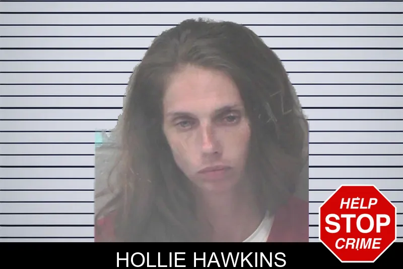 Hollie Hawkins mugshot – Newton County , Georgia Hollie Hawkins mugshot