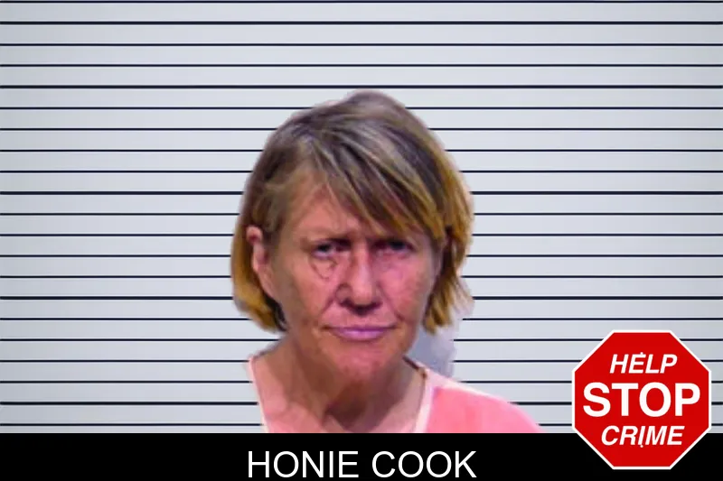 Honie Cook mugshot – Bartow County , Georgia Honie Cook mugshot
