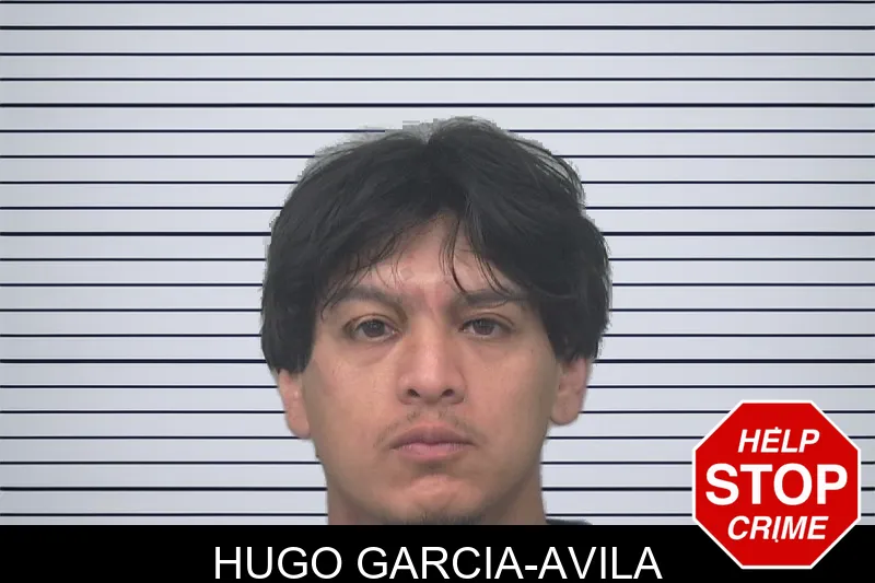 Hugo Garcia-Avila mugshot – Gwinnett County , Georgia Hugo Garcia-Avila mugshot