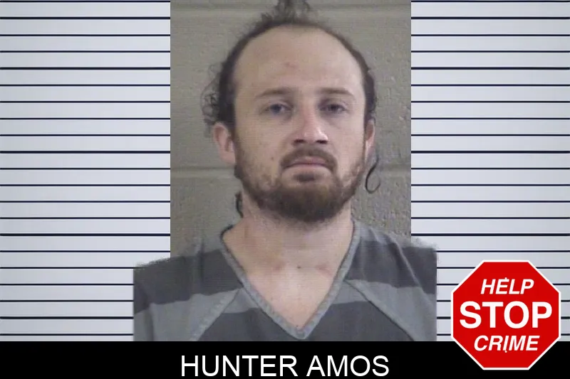 Hunter Amos mugshot – Whitfield County , Georgia Hunter Amos mugshot