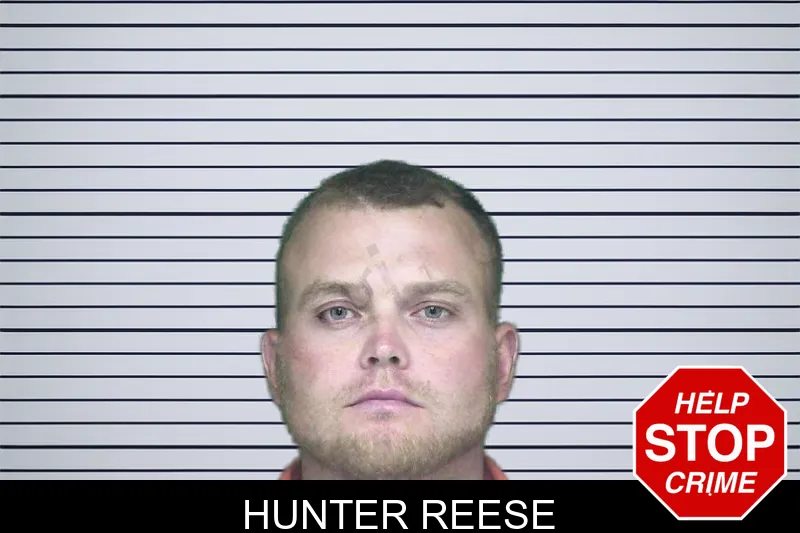 Hunter Reese mugshot – Appling County , Georgia Hunter Reese mugshot