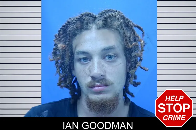 Ian Goodman mugshot