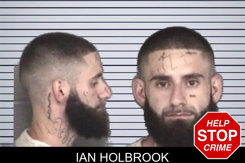 Ian Holbrook mugshot