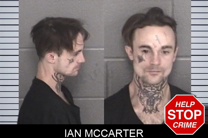 Ian McCarter mugshot – Barrow County , Georgia Ian McCarter mugshot