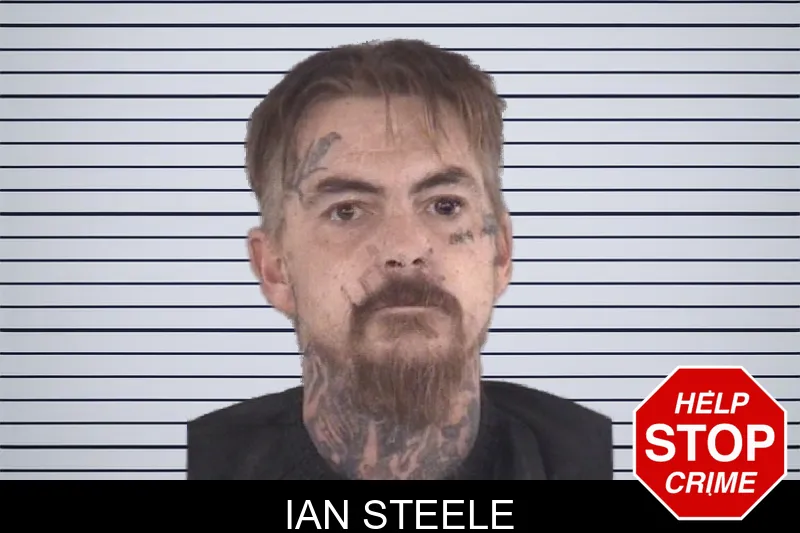 Ian Steele mugshot