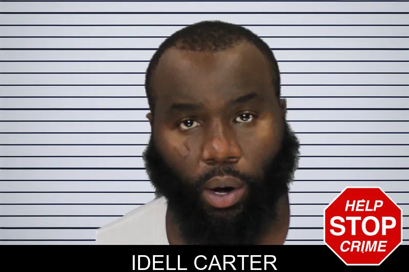 Idell Carter mugshot