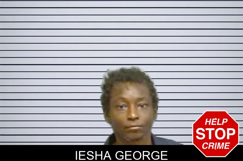 Iesha George mugshot – Fulton County , Georgia Iesha George mugshot