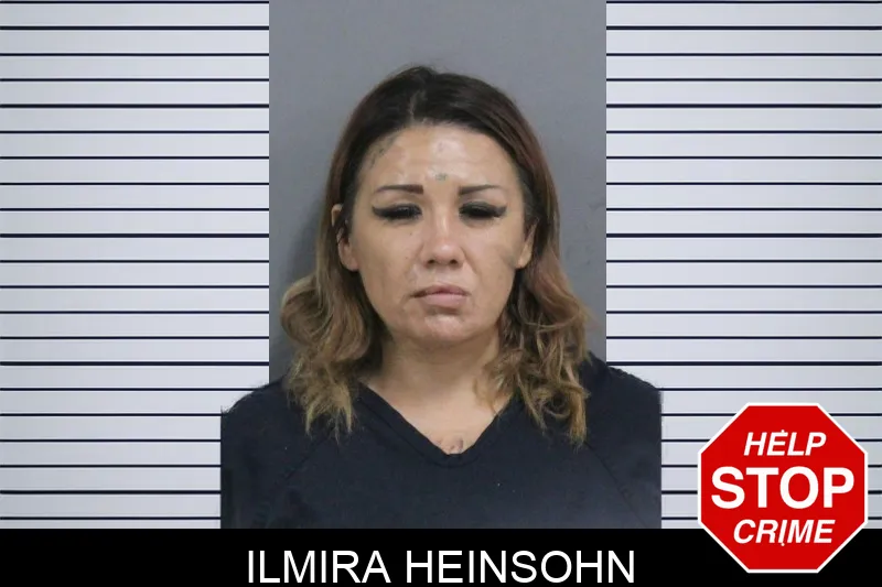 Ilmira Heinsohn mugshot – Catoosa County , Georgia Ilmira Heinsohn mugshot