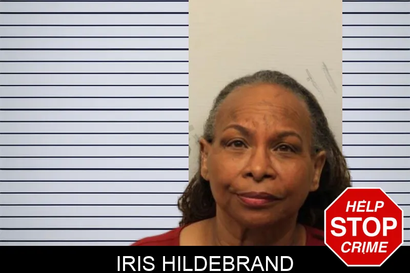 Iris Hildebrand mugshot – Chatham County , Georgia Iris Hildebrand mugshot