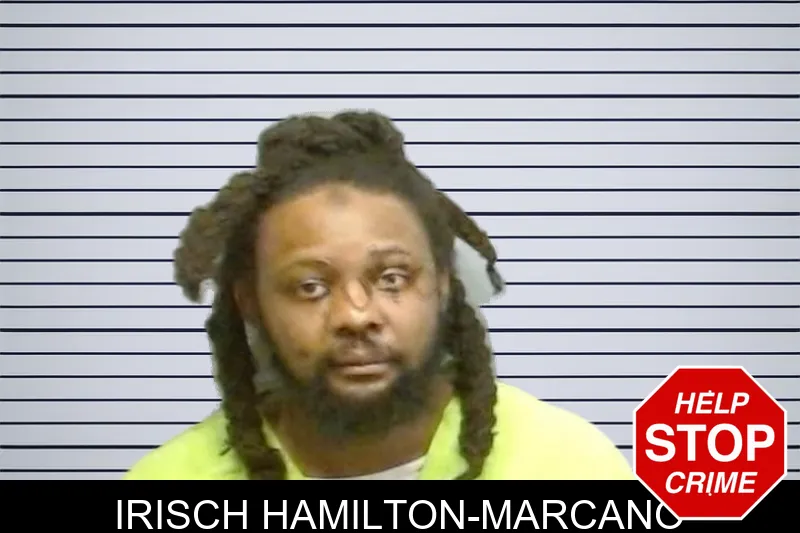 Irisch Hamilton-Marcano mugshot – Fulton County , Georgia Irisch Hamilton-Marcano mugshot
