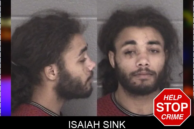 Isaiah Sink mugshot – Barrow County , Georgia Isaiah Sink mugshot