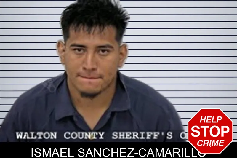 Ismael Sanchez-Camarillo mugshot – Walton County , Georgia Ismael Sanchez-Camarillo mugshot