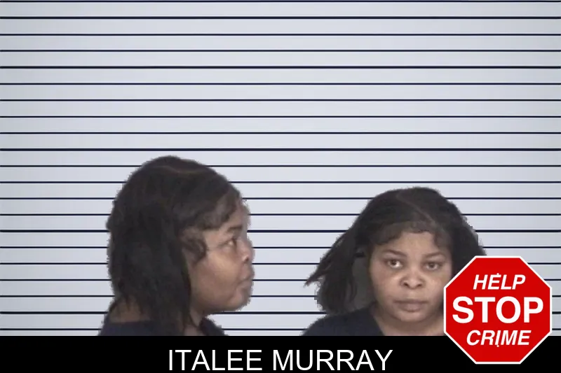 Italee Murray mugshot
