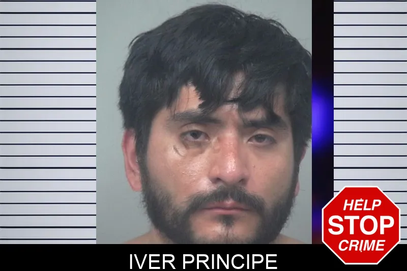 Iver Principe mugshot – Gwinnett County , Georgia Iver Principe mugshot