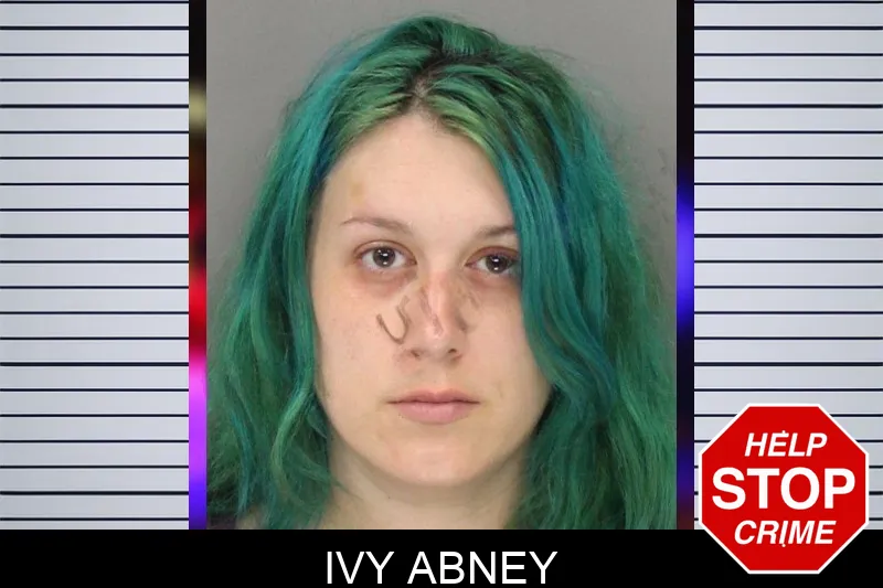 Ivy Abney mugshot – Cobb County , Georgia Ivy Abney mugshot