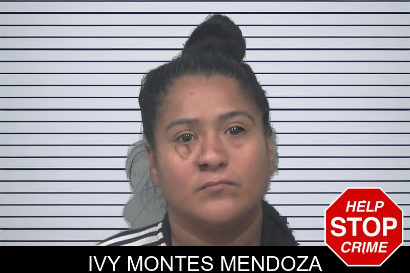 Ivy Montes Mendoza mugshot