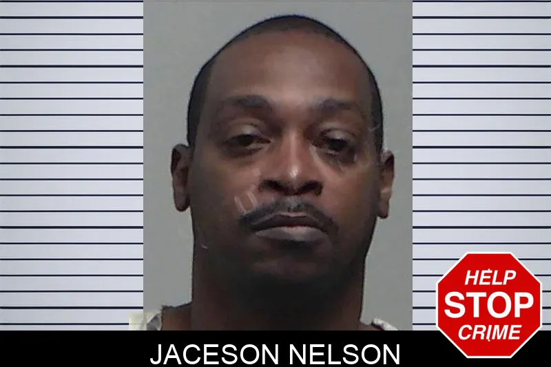 Jaceson Nelson mugshot – Tift County , Georgia Jaceson Nelson mugshot