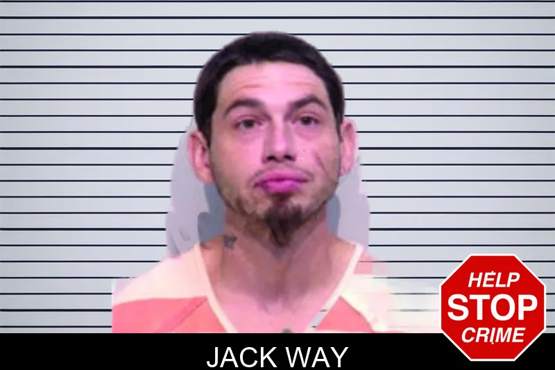 Jack Way mugshot – Bartow County , Georgia Jack Way mugshot