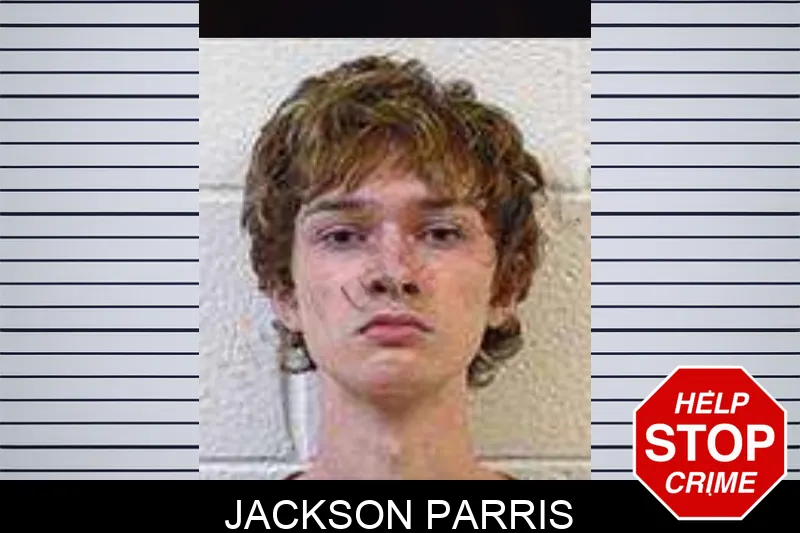 Jackson Parris mugshot – Polk County , Georgia Jackson Parris mugshot
