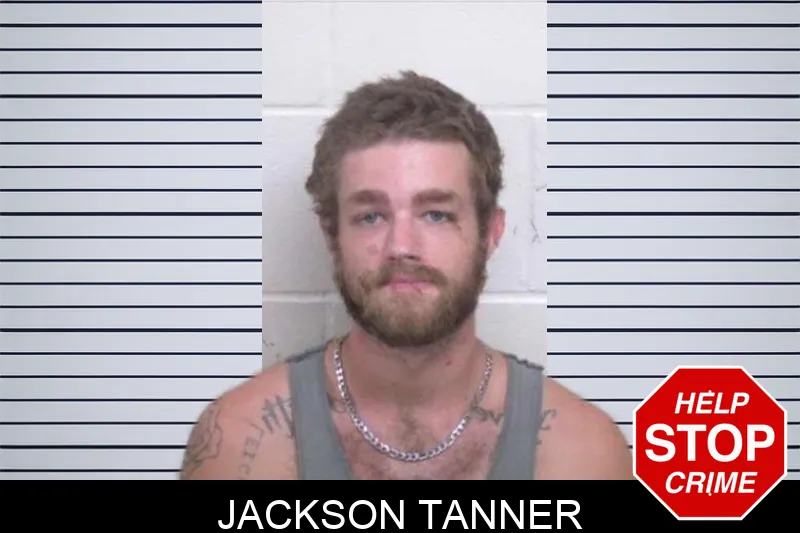 Jackson Tanner mugshot – Washington County , Georgia Jackson Tanner mugshot